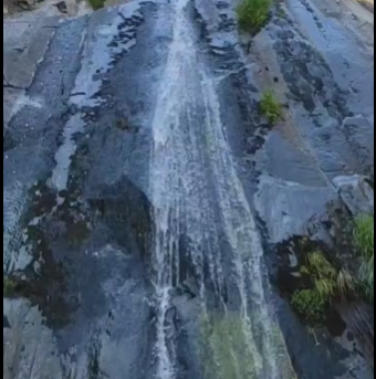 La Cervigona